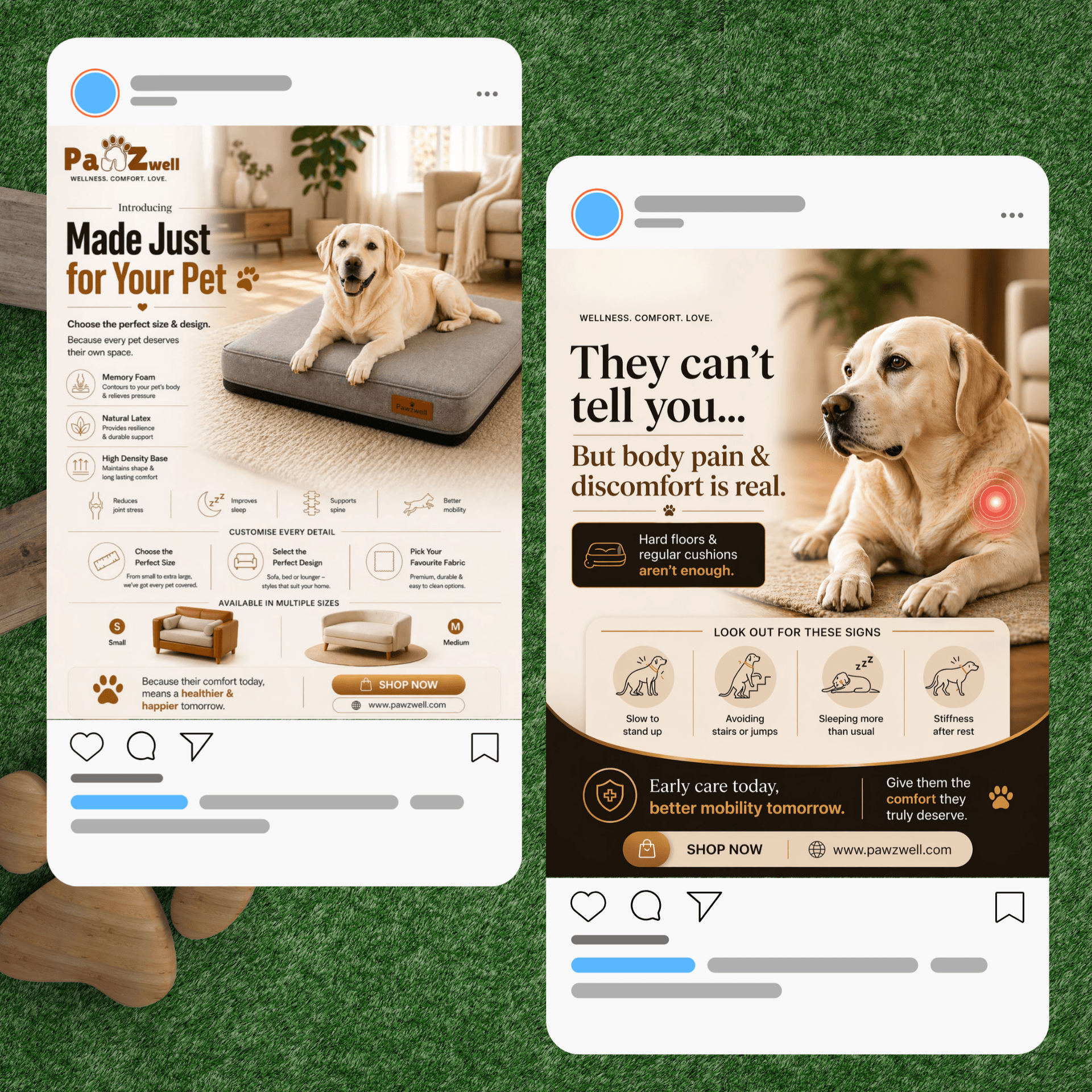 Pawzwell — End-to-End
Brand Growth Partnership